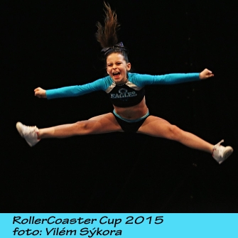 Roller Coaster Cup 2015